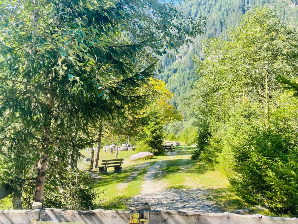 Apartment Weitblick Wald im Pinzgau Esterno foto